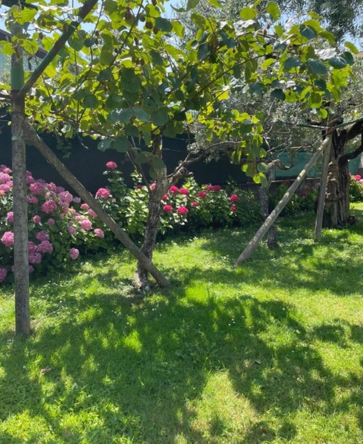 Verde House 2 Riva del Garda Ngoại thất bức ảnh